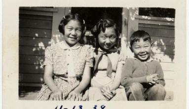 Sakamoto-Sasano Collection